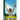 Testmatch