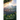 Spring of Light