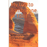 My trip to Tombstone in 1881