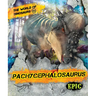 Pachycephalosaurus