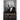 The History of the Negro Church