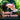Axolotl Care Guide: Raising an Axolotl for Beginners and Fascinating Facts