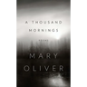 A Thousand Mornings
