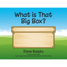 What is That Big Box?