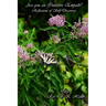 Are You an Intuitive Empath?: Reflections of Self Discovery