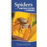 Spiders of the United States & Canada: Easily Identify 158 Common Species