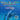 KIDS ON EARTH Wildlife Adventures - Explore The World The Atlantic Spotted- Dolphin