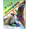 2 In 1 Coloring Book: Seals vs. Sea Lions: Super Cute Little Coloring Book! 74 Pages Awesome Colring Book Beautiful Pictures - Perfect for S
