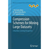 Compression Schemes for Mining Large Datasets: A Machine Learning Perspective
