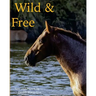 Wild & Free