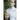 The Story of My Father: A Memoir
