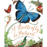 A Butterfly Is Patient: (Nature Books for Kids, Children's Books Ages 3-5, Award Winning Children's Books)
