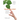 The Biophilia Effect: A Scientific and Spiritual Exploration of the Healing Bond Between Humans and Nature