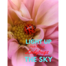 Light Up the Sky Photo Book of Ladybugs: Picture Book of Full Color Photography of Ladybugs and Flowers