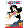 Bleach, Vol. 14
