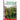 Rain Forests Around the World