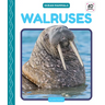 Walruses