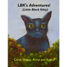 Adventures of LBK (Little Black Kitty)