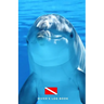 Diver's Log Book: scuba diving log book 100 dives