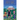 Before the Dawn