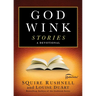 Godwink Stories: A Devotional