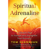 Spiritual Adrenaline: A Lifestyle Plan to Nourish and Strengthen Your Recovery