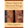Nature Spirits & Elemental Beings: Working with the Intelligence in Nature