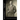 Life of Charles T. Walker, D.D.: ("The Black Spurgeon.") Pastor Mt. Olivet Baptist Church, New York City