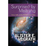 Surprised by Meaning