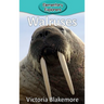 Walruses