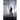 Trail Stalker
