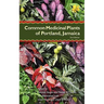 Common Medicinal Plants of Portland, Jamaica