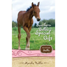 The Southern Belle's Special Gift: 3
