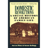 Domestic Revolutions: A Social History of American Family Life