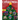 Christmas Traditions in the Spanish-Speaking World: 8 Books in 1. Discover Celebrations, Stories, and Festive Customs Across Latin America and Spain