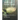 Walks with Nature Spirits: A Guided Adventure into Developing the Talents Within, Awakening Your Ability to Play with Nature Spirits