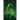 Into the Emerald Dream
