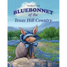 Bluebonnet of the Texas Hill Country