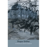 Shape-Shifter: a tribute to Gavin Selerie