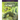 Forbidden Futures 10