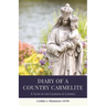 Diary of a Country Carmelite: A Year in the Garden of Carmel