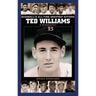Ted Williams: A Biography