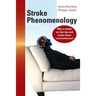 Stroke Phenomenology: Why a stroke on that day and under these circumstances?