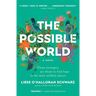 The Possible World