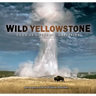 Wild Yellowstone: Land of Geysers and Grizzlies