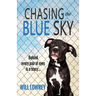 Chasing the Blue Sky