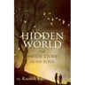 Hidden World: The Inside Story of the Soul