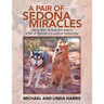 A Pair of Sedona Miracles: Life as Seen by Sam and Athena a Pair of Hybrids in a Land of Conformity