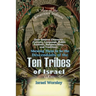 A View of the American Indians: Their General Character, Customs, Language, Public Festivals, Religious Rites, and Traditions: Shewing Them to be the