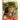 Princess Liliokalani Does Not Believe in Racism and Hate Crimes Because She is Colorblind